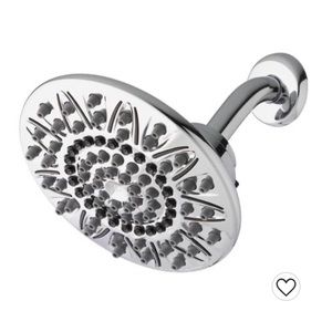 Waterpik Rainfall Showerhead